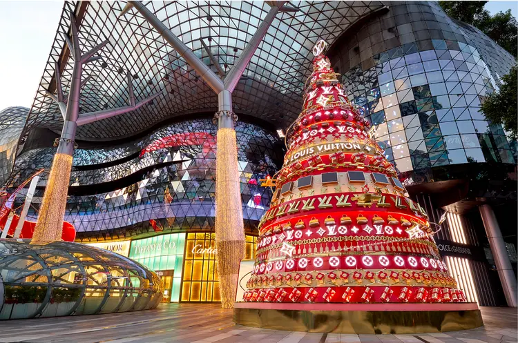 231113+LV+Tree_00444-comp